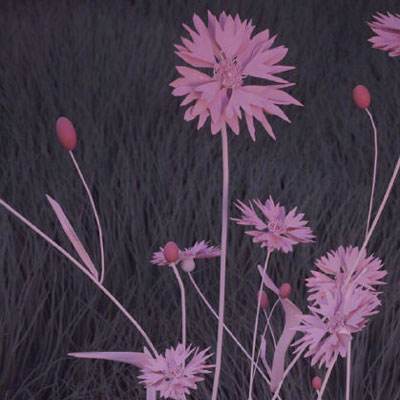 亚博app(中国)官方网站app下载